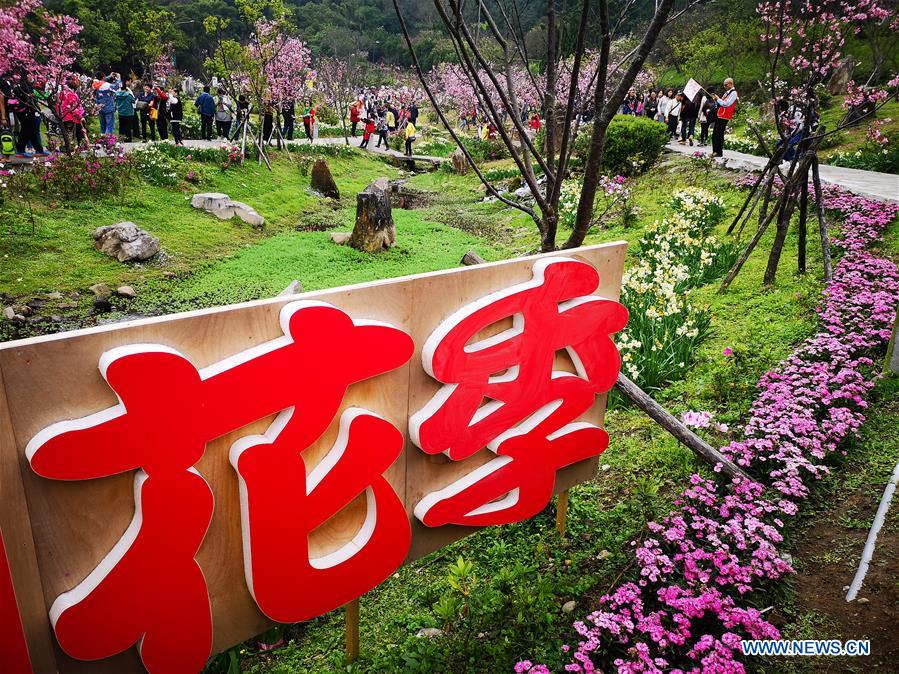 CHINA-TAIPEI-YANGMING MOUNTAIN-SCENERY(CN)