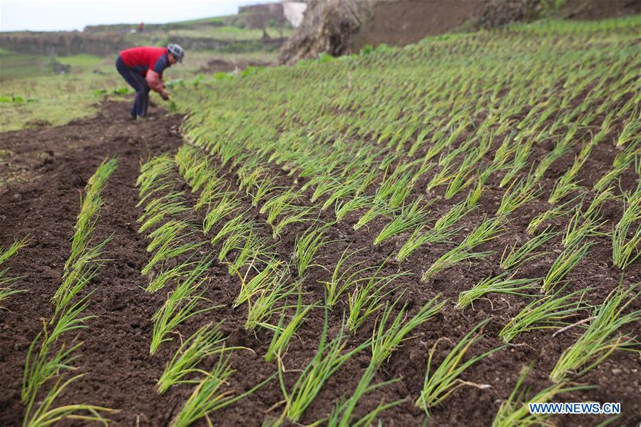 #CHINA-SPRING-FARMING (CN)