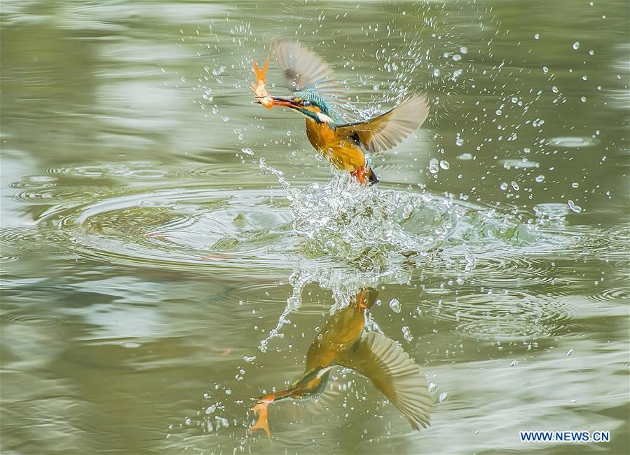 XINHUA PHOTOS OF THE DAY