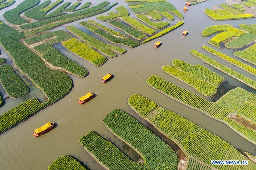 # CHINA-SPRING-SCENERY (CN)