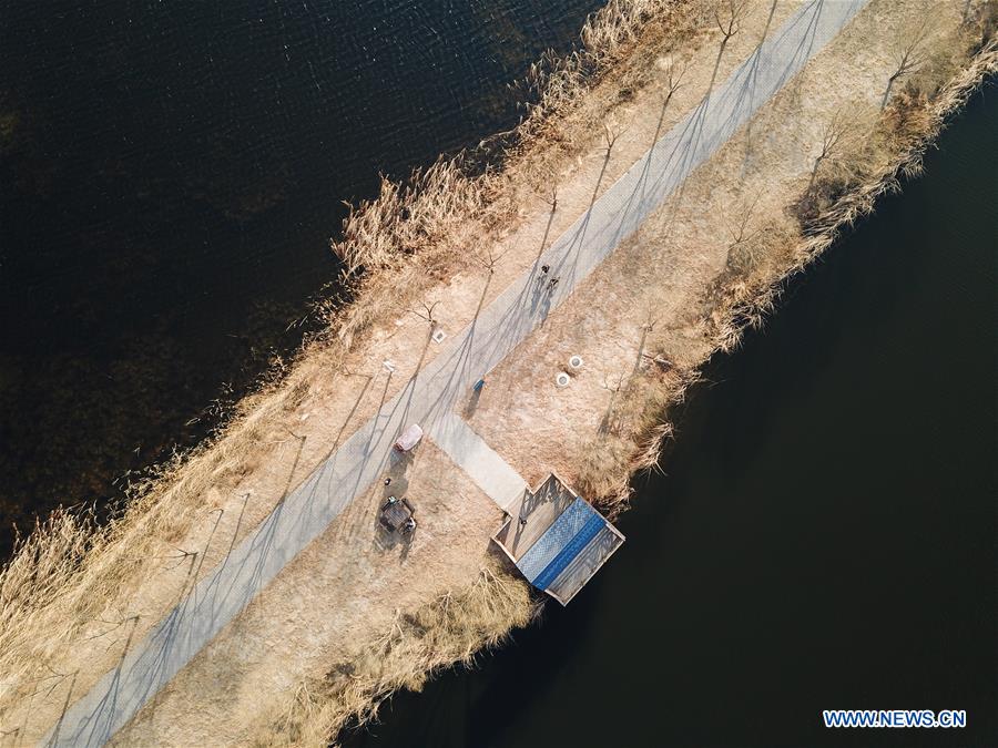 CHINA-BEIJING-WILD DUCK LAKE WETLAND NATIONAL PARK-REOPENING (CN)