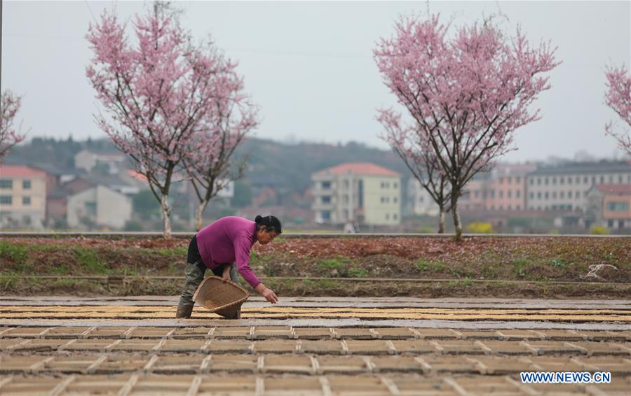 #CHINA-SPRING-FARMING (CN)