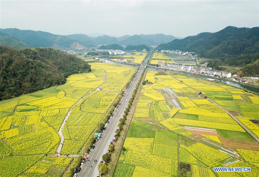 CHINA-ZHEJIANG-COLE FLOWERS (CN)