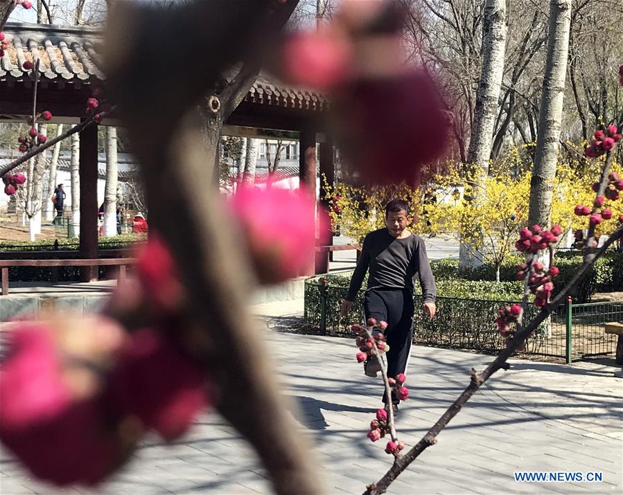 (BeijingCandid) CHINA-BEIJING-SPRING (CN)