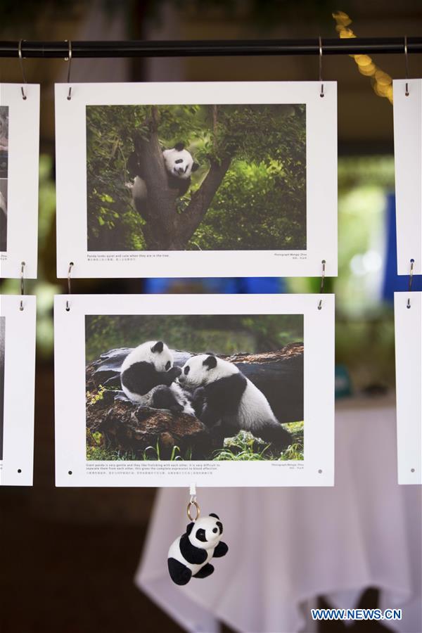 AUSTRALIA-ADELAIDE-CHINESE PHOTOGRAPHER-EXHIBITION