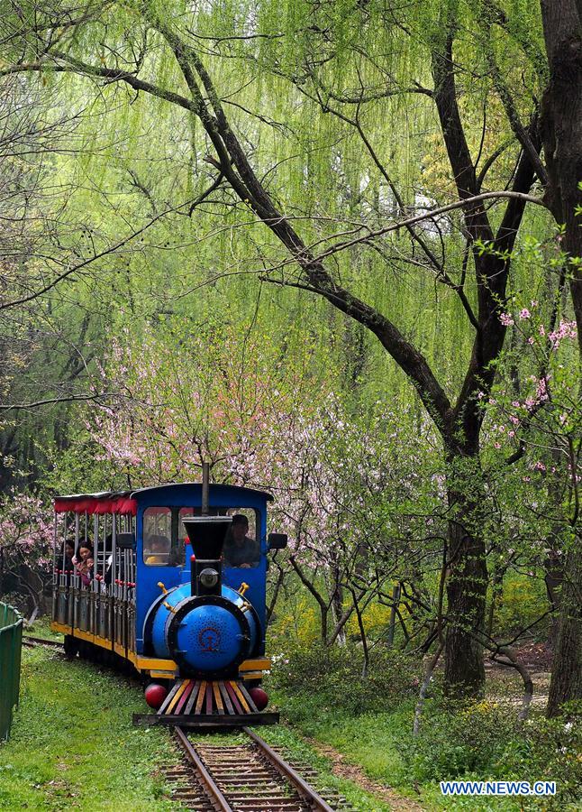 CHINA-SHANGHAI-CITY FOREST FLOWER EXHIBITION (CN)