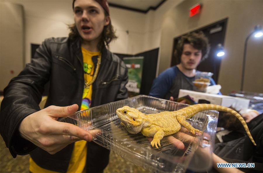 CANADA-TORONTO-REPTILE EXPO