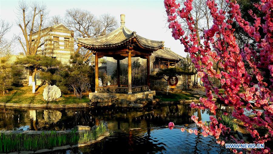 (Beijingcandid)CHINA-BEIJING-SPRING (CN)