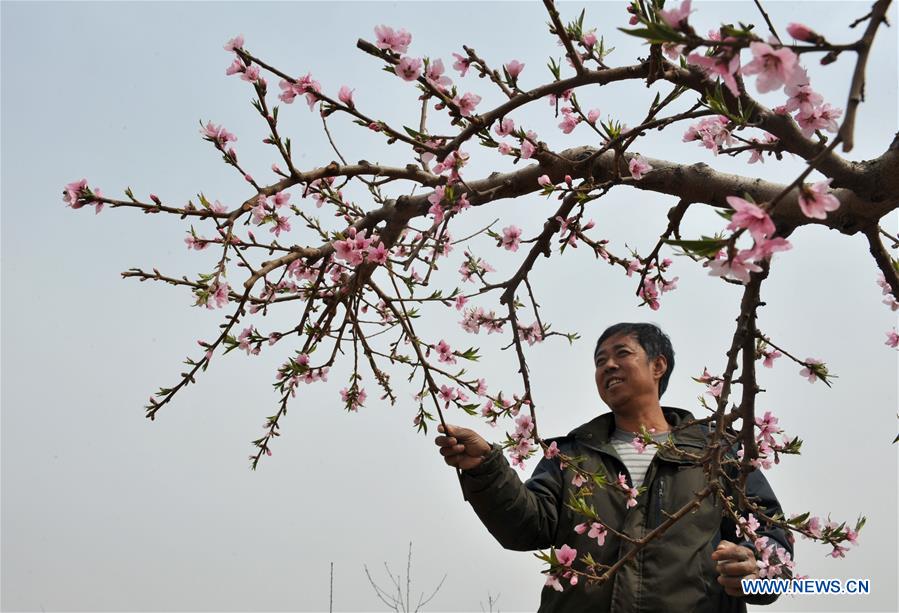 CHINA-HEBEI-SHENZHOU-FARM WORK (CN)