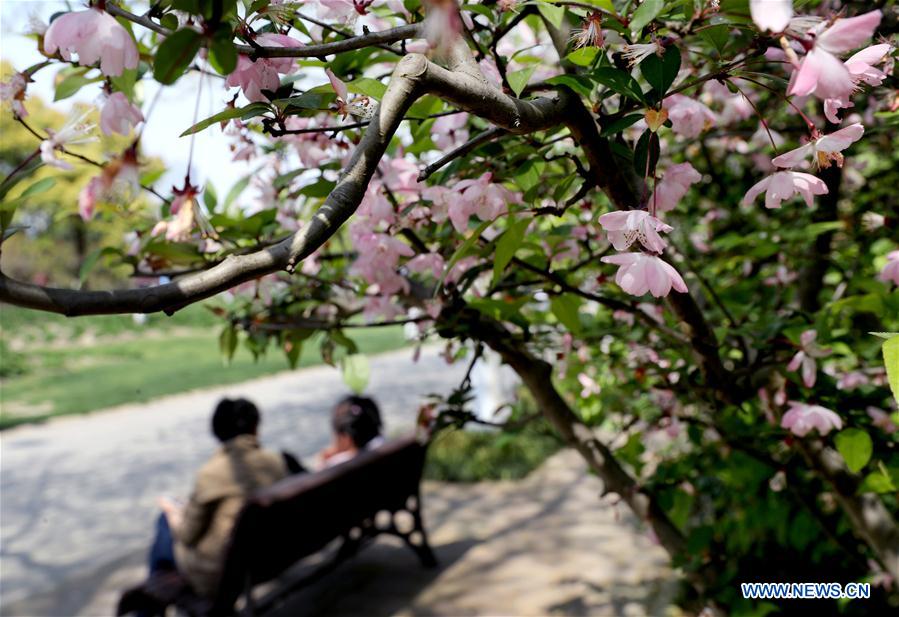 CHINA-SHANGHAI-HOLIDAY-FLOWERS (CN)