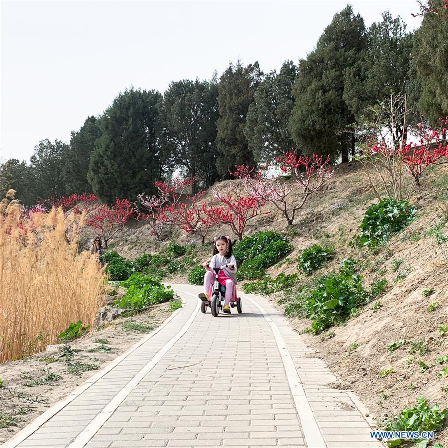 (Beijingcandid)CHINA-BEIJING-SPRING-PEOPLE (CN)