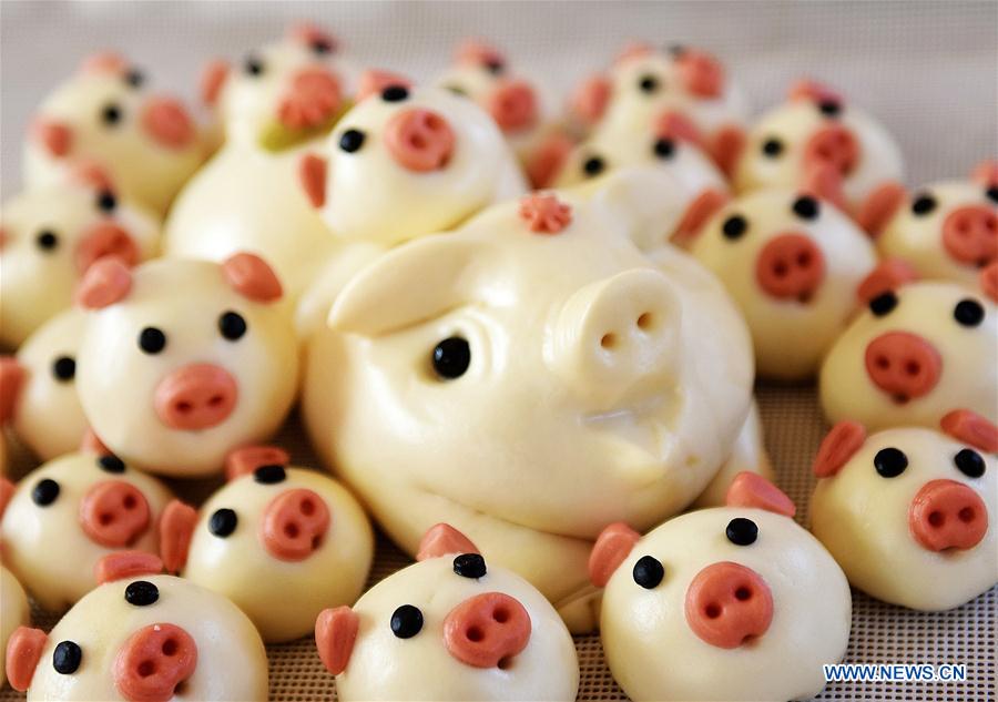 CHINA-YEAR OF PIG-BIRTHS-REBOUND(CN)