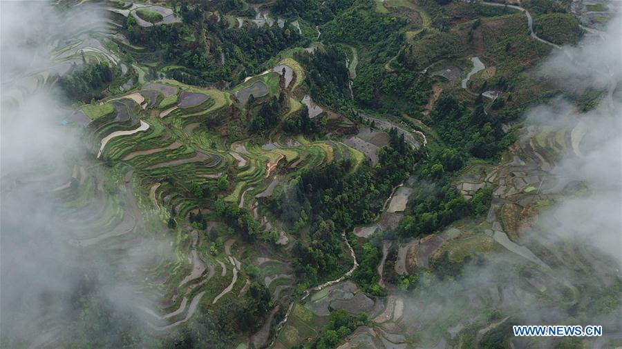 CHINA-GUIZHOU-LIPING-TERRACED FIELDS (CN)