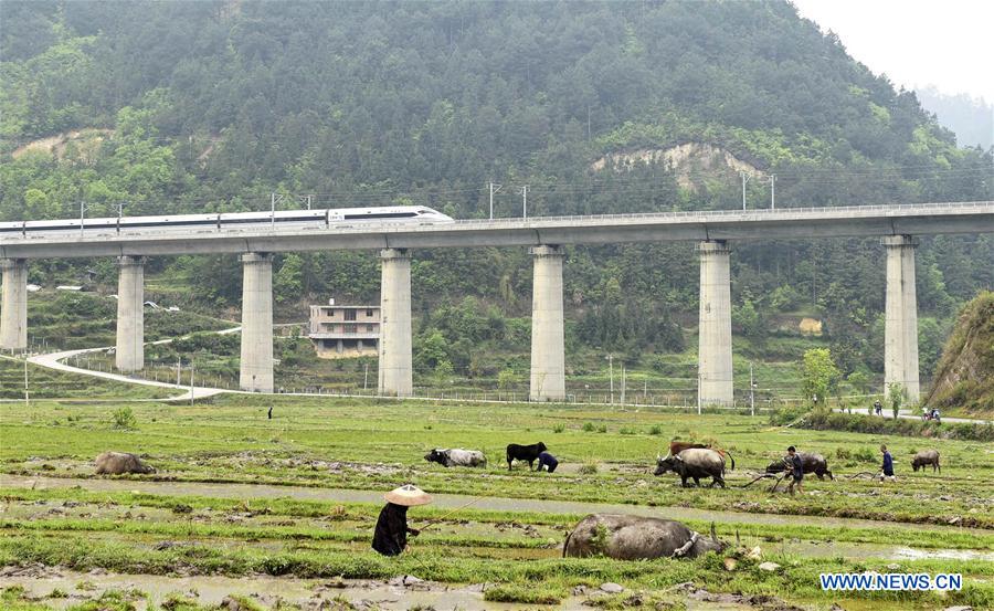 #CHINA-GUYU-AGRICULTURE-FARM WORK (CN)