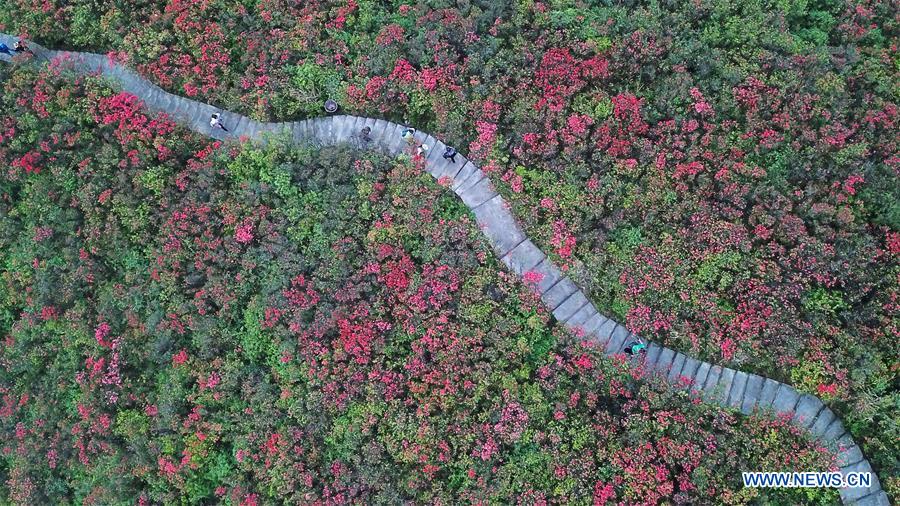 CHINA-GUIZHOU-DANZHAI-SCENERY