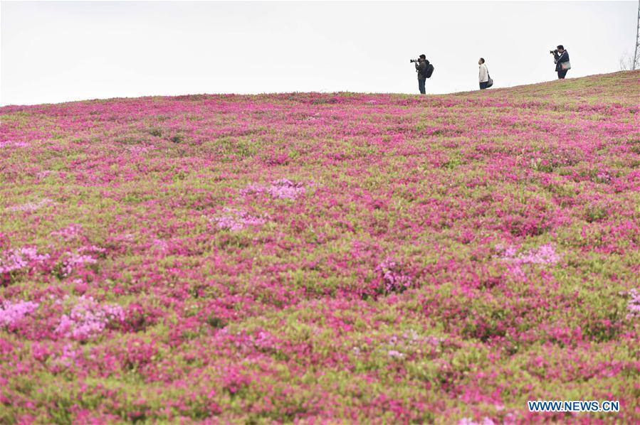 #CHINA-SHANDONG-TOURISM (CN)