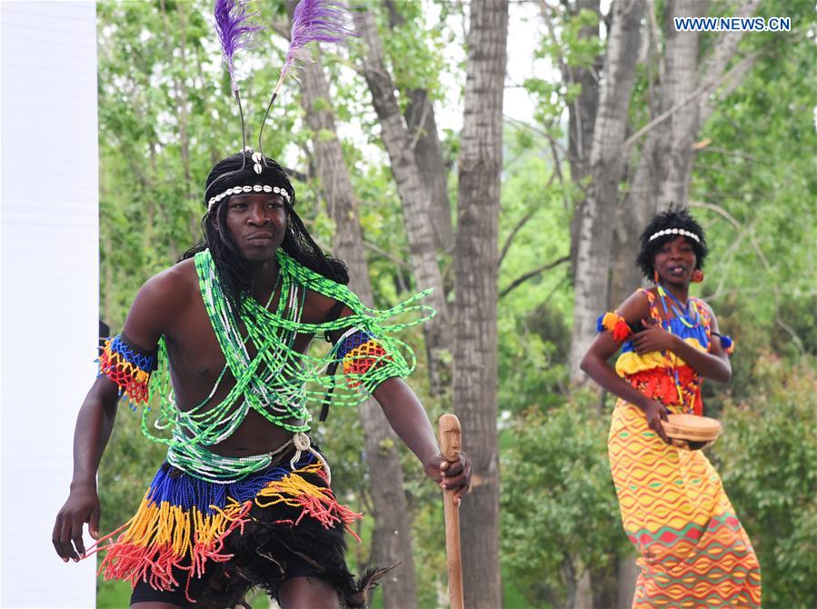 CHINA-BEIJING-HORTICULTURAL EXPO-CHAD DAY (CN)