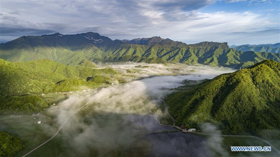 CHINA-HUBEI-SHENNONGJIA-SCENERY (CN)