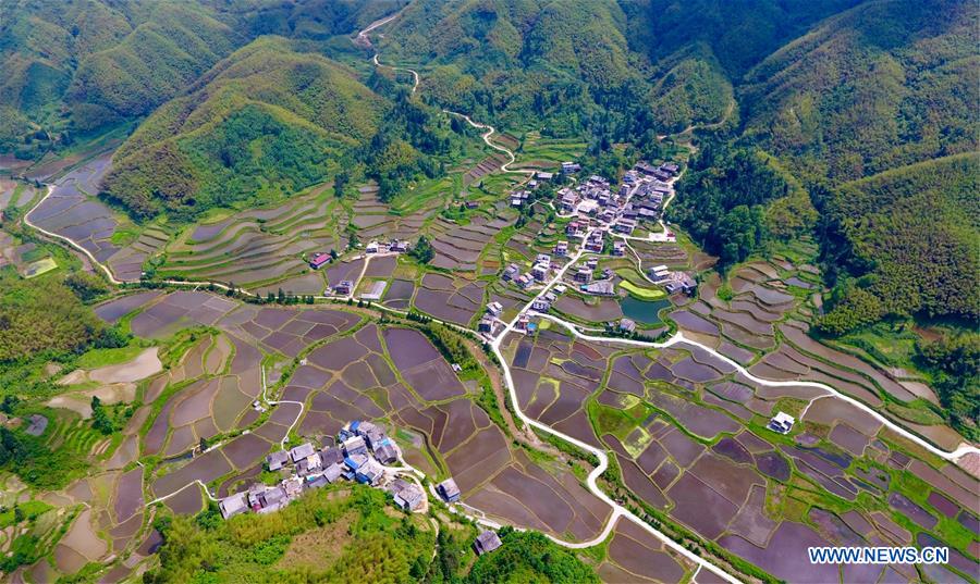 CHINA-GUANGXI-RONGSHUI-TERRACED FIELDS (CN)