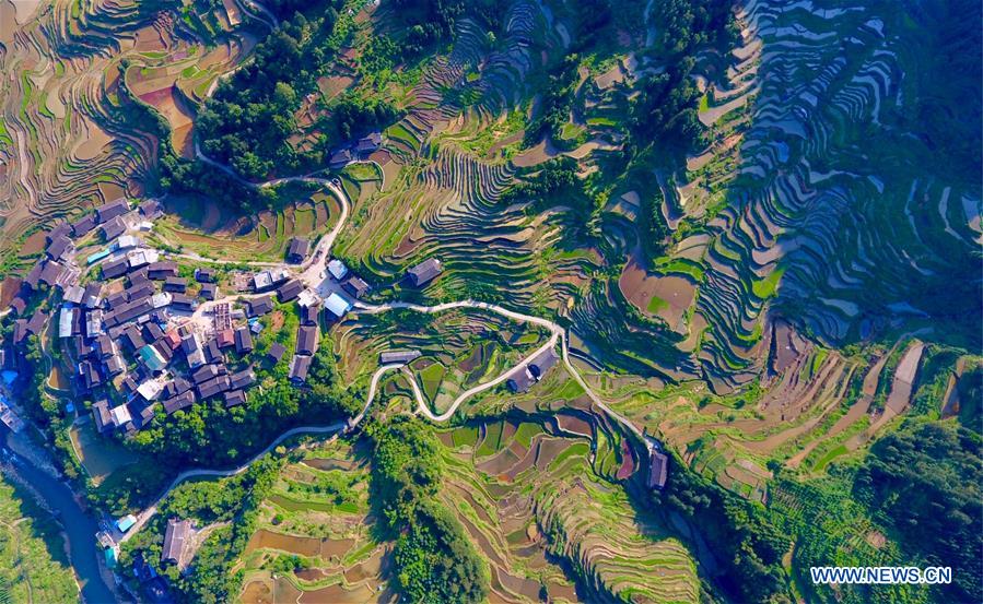 CHINA-GUANGXI-RONGSHUI-TERRACED FIELDS (CN)