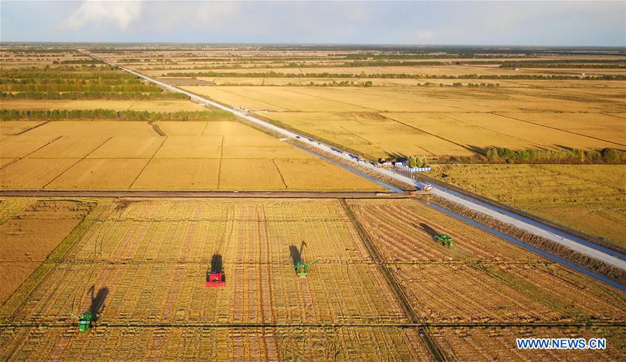 (EcoChina)CHINA-BEIJING-HORTICULTURAL EXPO-HEILONGJIANG (CN)