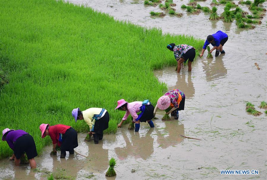 CHINA-GUANGXI-RONGSHUI-POVERTY ALLEVIATION (CN)