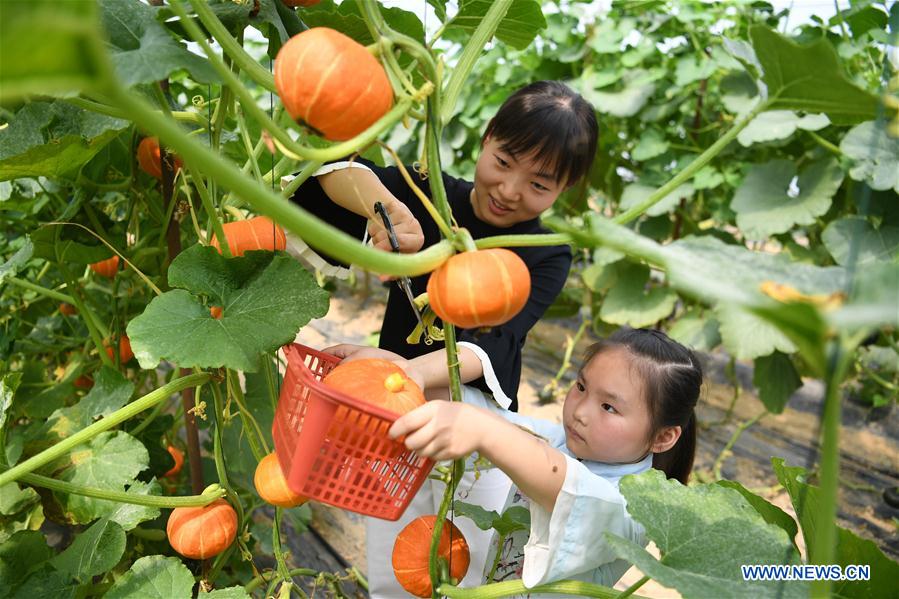 CHINA-ANHUI-FEIXI-AGRICULTURE-TOURISM (CN)