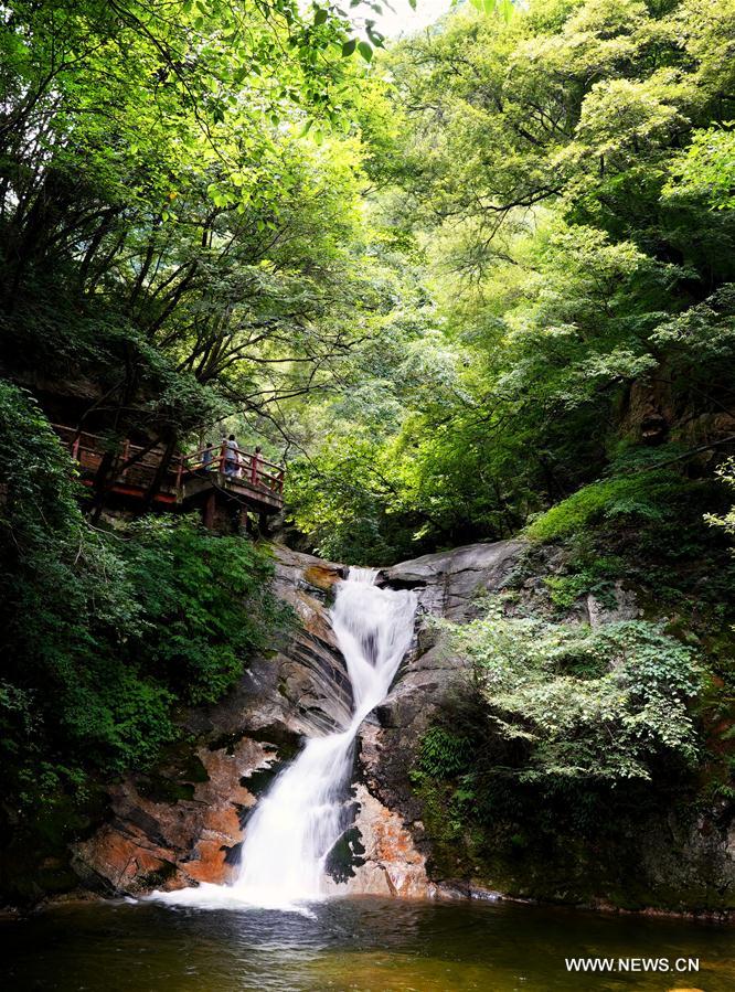 CHINA-SHAANXI-FOREST PARK-SCENERY (CN)