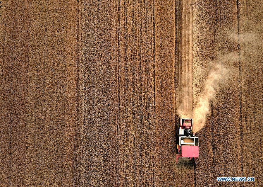 CHINA-SUMMER SCENERY-AERIAL VIEW (CN)