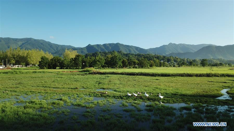 CHINA-ANHUI-YIXIAN-SUMMER SCENERY (CN)