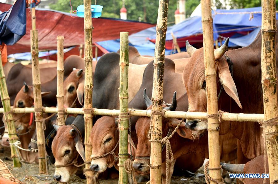 BANGLADESH-DHAKA-EID AL-ADHA-LIVESTOCK MARKET