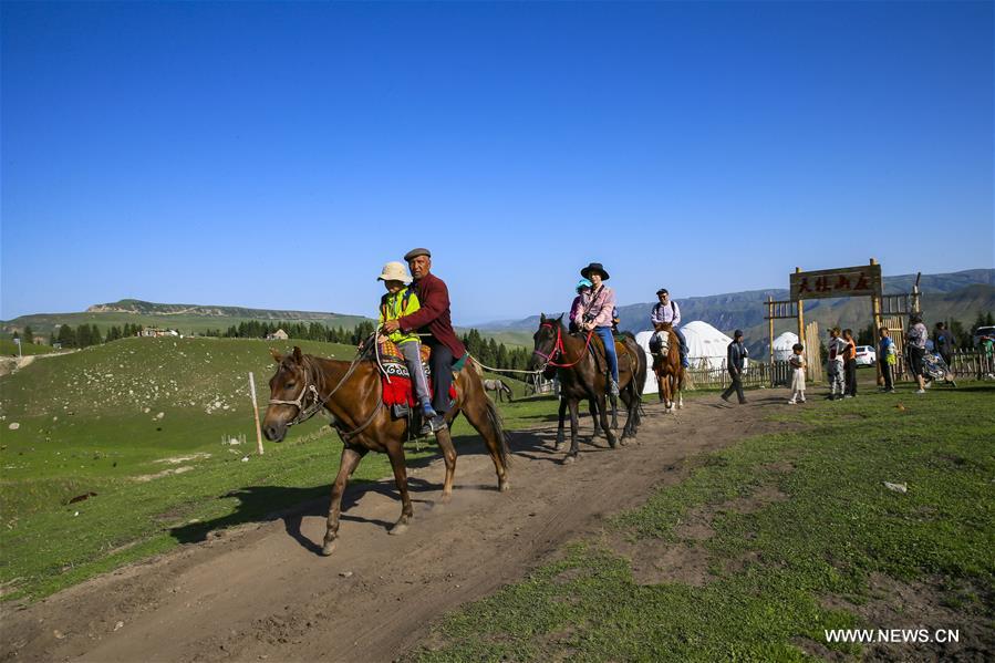 CHINA-XINJIANG-TEKES-KARADALA-LIFE (CN)