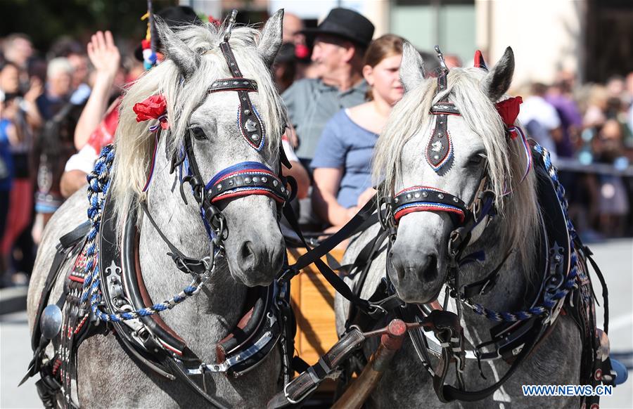 CROATIA-MARIJA BISTRICA-HORSE CARRIAGE RIDE