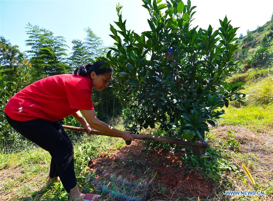 CHINA-JIANGXI-RUIJIN-FEMALE CHEF-POVERTY ALLEVIATION (CN)