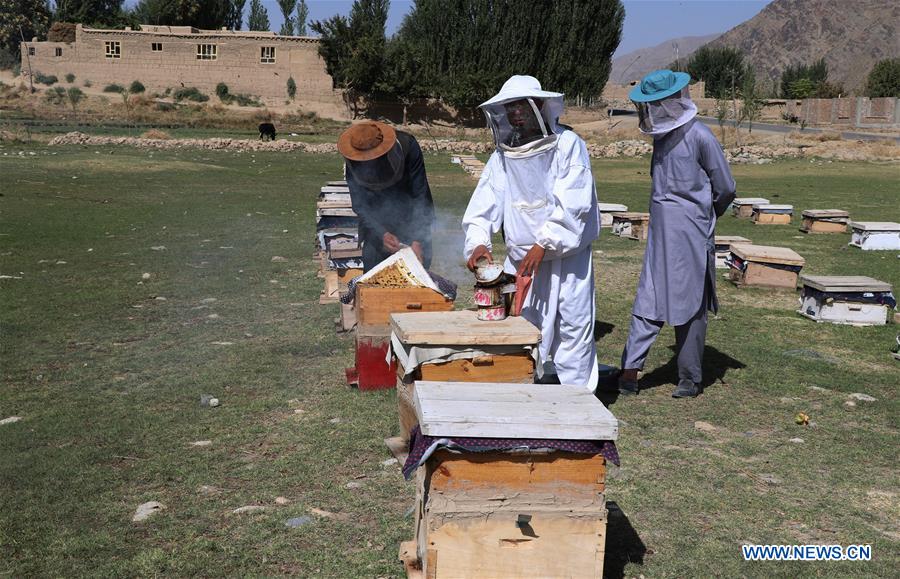 AFGHANISTAN-BAGHLAN-BEE FARM