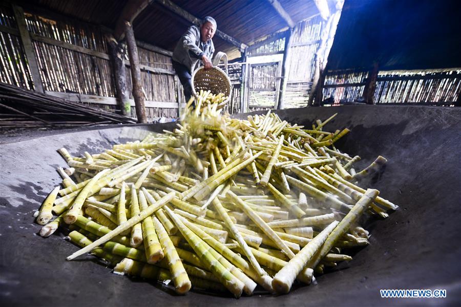 CHINA-CHONGQING-NANCHUAN-BAMBOO SHOOTS-COLLECTOR (CN)