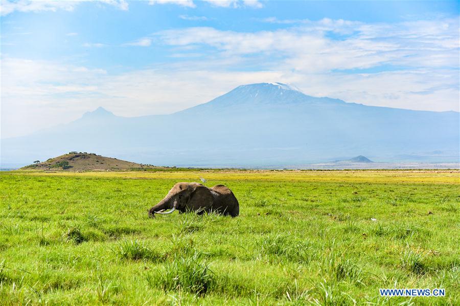 KENYA-ECOLOGY-CHINA-BEIJING-HORTICULTURAL EXPO-KENYA DAY 