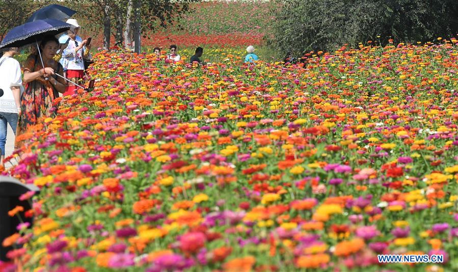 CHINA-JILIN-CHANGCHUN-FLOWERS (CN)