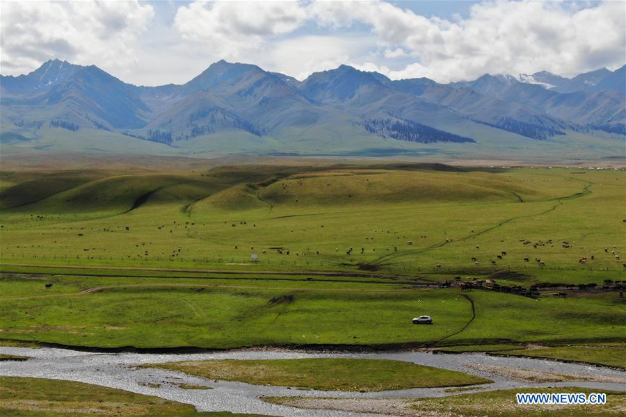 CHINA-XINJIANG-NARAT-SCENERY (CN)