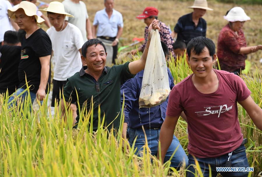 CHINA-YUNNAN-XUNDIAN-HARVEST-CELEBRATION (CN)