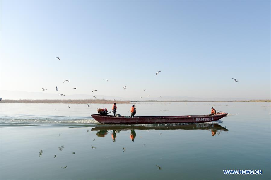 CHINA-XINJIANG-BOSTEN LAKE-FISHERY-POND SMELT (CN)