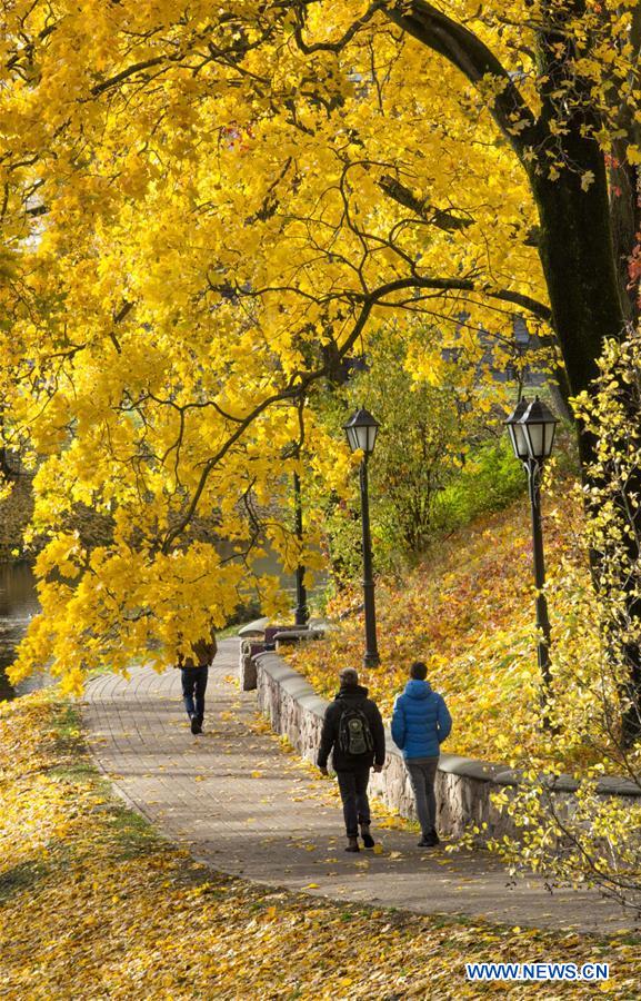 LATVIA-RIGA-AUTUMN SCENERY