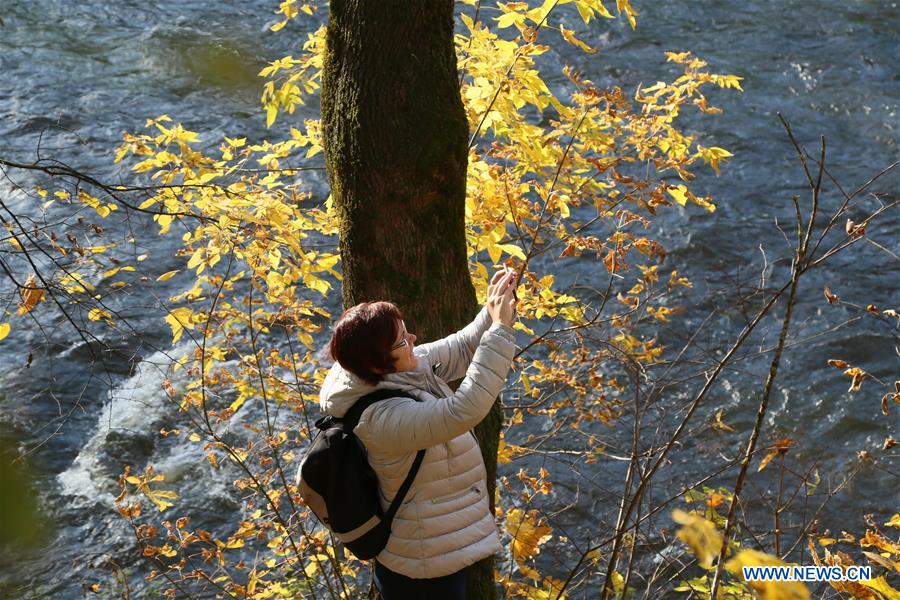 LITHUANIAN-VILNIUS-AUTUMN SCENERY