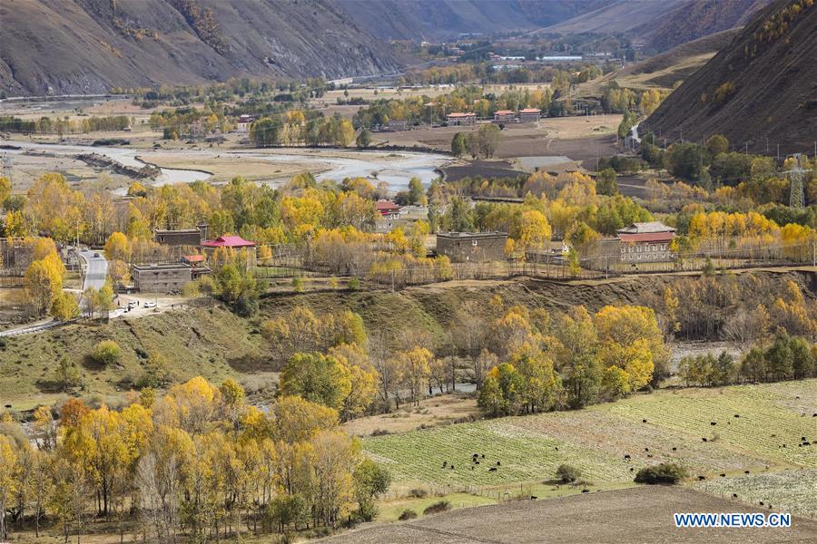 CHINA-SICHUAN-KANGDING-AUTUMN SCENERY (CN)