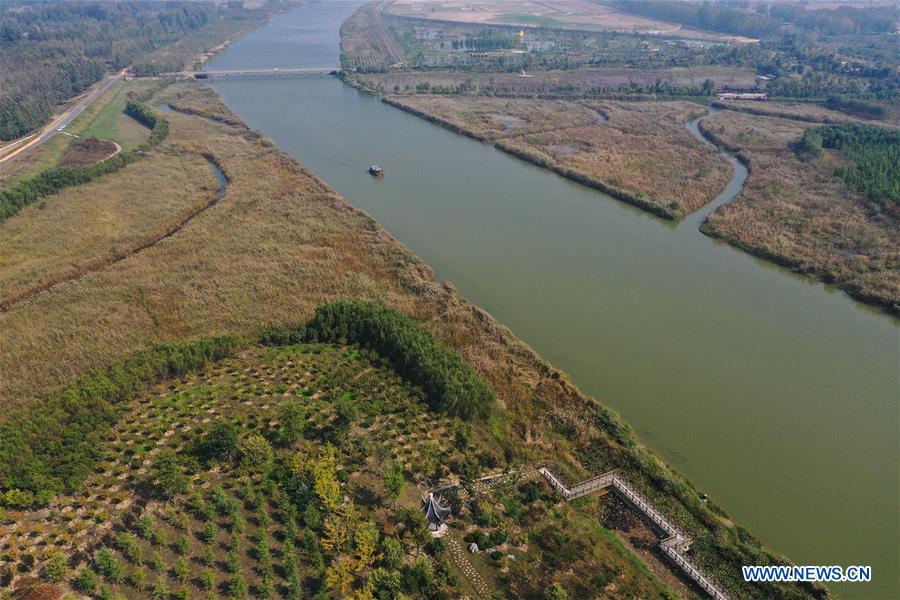 CHINA-JIANGSU-SUINING-WETLAND (CN)