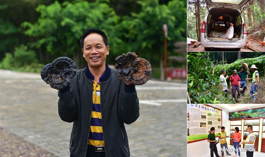 (PORTRAITS)CHINA-GUANGXI-LUZHAI-POVERTY ALLEVIATION (CN)