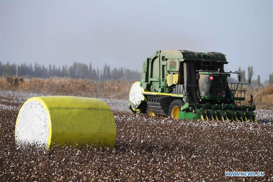 CHINA-XINJIANG-AWAT-AGRICULTURE-COTTON (CN)