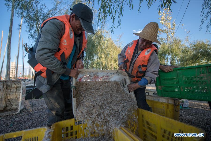 CHINA-YUNNAN-KUNMING-DIANCHI LAKE-WATER QUALITY (CN)