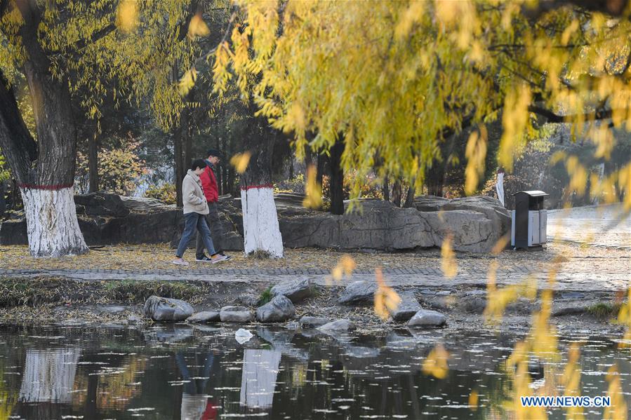 CHINA-INNER MONGOLIA-HOHHOT-AUTUMN SCENERY (CN)