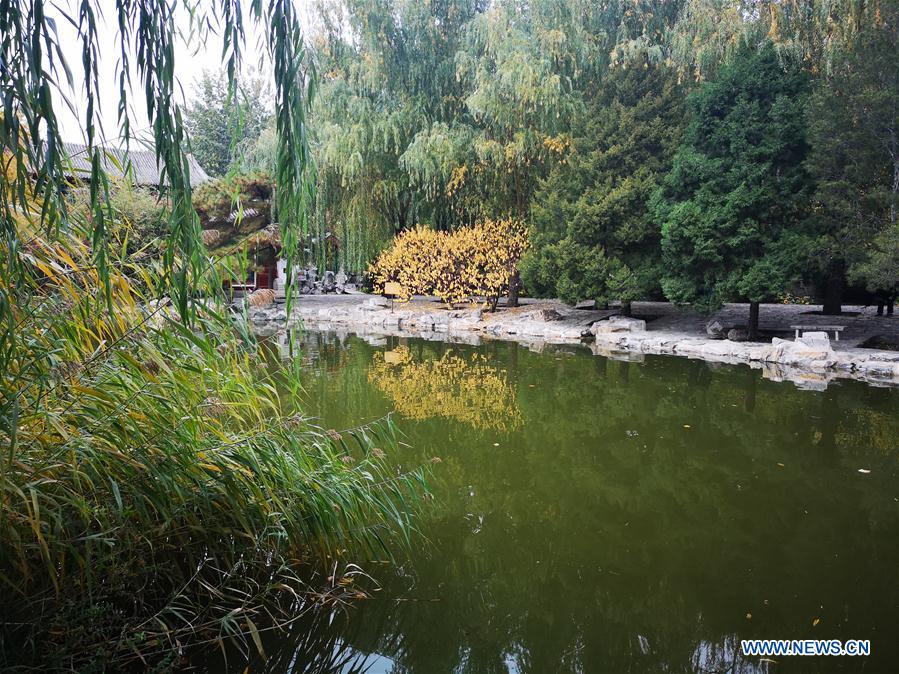 (BeijingCandid)CHINA-BEIJING-AUTUMN (CN)